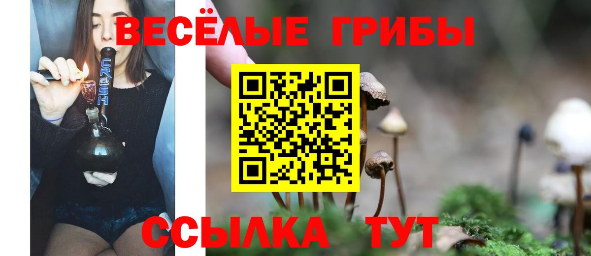Галлюциногенные грибы MAGIC MUSHROOMS Отрадное